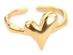 Forever heart ring (goud)