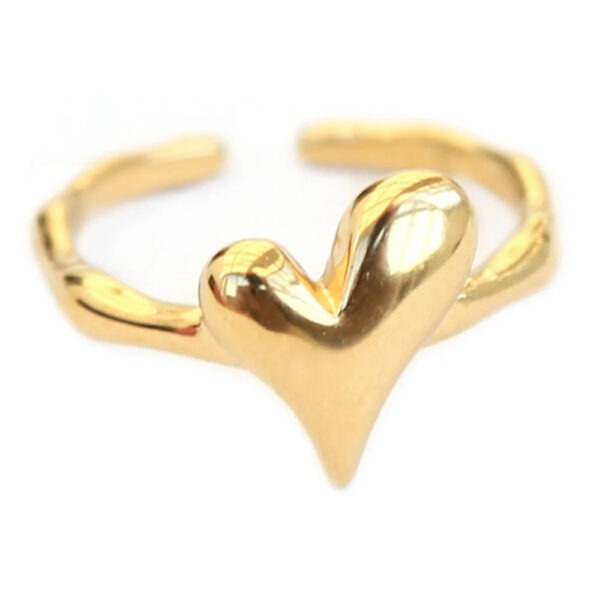 Forever heart ring (goud)